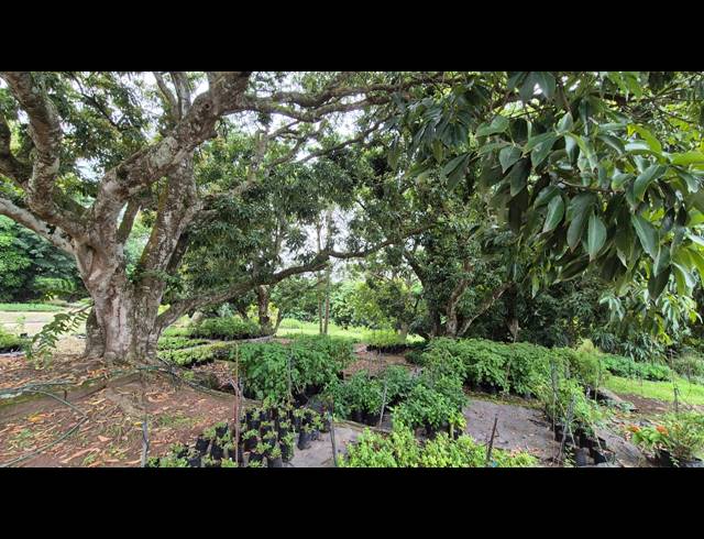7.20HA FARM FOR SALE IN BALLITO RURAL